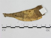 登錄號:F0012356藏品圖，第1張