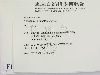 小菇屬藏品圖，第2張