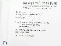 多孔菌屬藏品圖，第2張