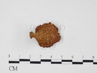 登錄號:F0012359藏品圖，第1張