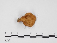 登錄號:F0012359藏品圖，第3張