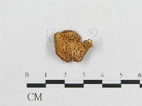 登錄號:F0012360藏品圖，第3張