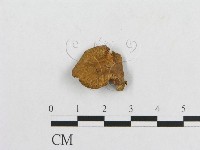 登錄號:F0012360藏品圖，第4張