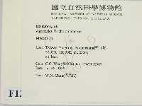 小菇屬藏品圖，第2張
