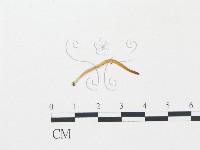 登錄號:F0012368藏品圖，第1張