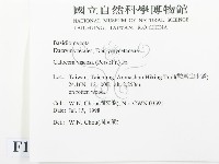 登錄號:F0012369藏品圖，第2張