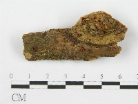 登錄號:F0012370藏品圖，第1張