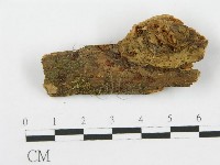 登錄號:F0012370藏品圖，第3張