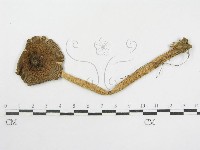 登錄號:F0012372藏品圖，第4張