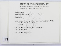 紅菇屬藏品圖，第2張