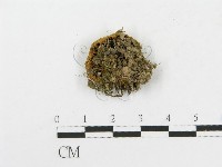 登錄號:F0012378藏品圖，第1張