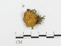 登錄號:F0012378藏品圖，第3張