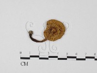 登錄號:F0012380藏品圖，第1張
