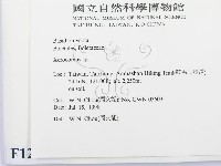 登錄號:F0012381藏品圖，第2張