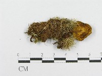 登錄號:F0012381藏品圖，第3張