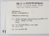登錄號:F0012382藏品圖，第2張