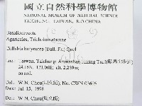 登錄號:F0012383藏品圖，第2張