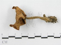登錄號:F0012383藏品圖，第3張