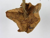 登錄號:F0012383藏品圖，第7張