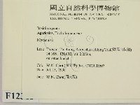 小菇屬藏品圖，第2張