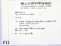 登錄號:F0012386藏品圖，第2張