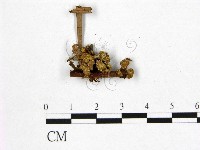 登錄號:F0012386藏品圖，第1張
