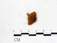登錄號:F0012387藏品圖，第1張