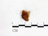登錄號:F0012387藏品圖，第3張