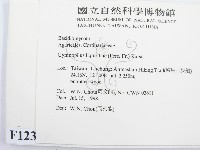 登錄號:F0012389藏品圖，第2張