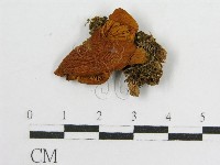 登錄號:F0012389藏品圖，第1張