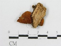 登錄號:F0012389藏品圖，第3張