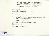 登錄號:F0012391藏品圖，第2張