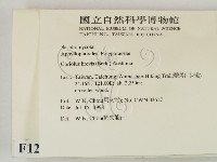 登錄號:F0012395藏品圖，第2張