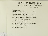 登錄號:F0012397藏品圖，第2張