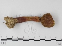 登錄號:F0012397藏品圖，第3張