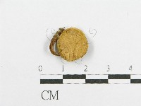 登錄號:F0012402藏品圖，第1張