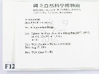 登錄號:F0012403藏品圖，第2張