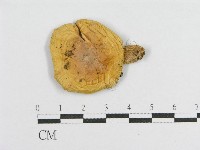 登錄號:F0012403藏品圖，第3張