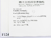 登錄號:F0012405藏品圖，第2張