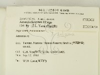 登錄號:F0012406藏品圖，第2張