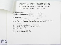 登錄號:F0012406藏品圖，第3張