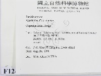 登錄號:F0012407藏品圖，第2張