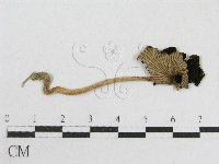 登錄號:F0012407藏品圖，第1張