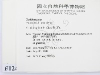 登錄號:F0012408藏品圖，第2張