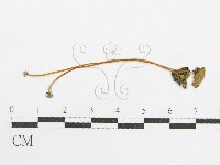 登錄號:F0012408藏品圖，第1張