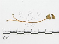 登錄號:F0012408藏品圖，第3張