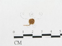 登錄號:F0012409藏品圖，第1張