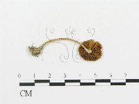 登錄號:F0012411藏品圖，第3張