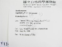 微皮傘屬藏品圖，第2張