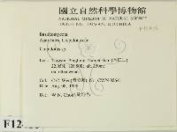 登錄號:F0012416藏品圖，第2張